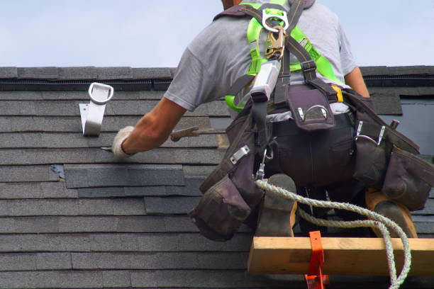 Best Commercial Roofing Services  in Shelbyvle, IL