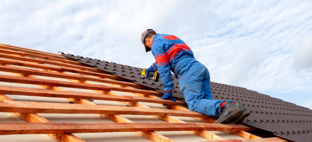 Best Roof Coating and Sealing  in Shelbyvle, IL