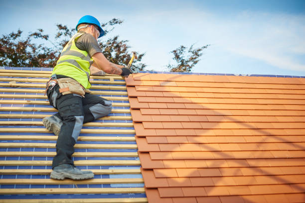 Best Skylight Installation and Repair  in Shelbyvle, IL