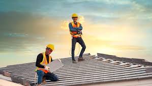 Best Roof Maintenance and Cleaning  in Shelbyvle, IL